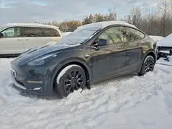 7SAYGDEE7SF275673 2025 TESLA MODEL Y