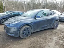 7SAYGDEE7SF283787 2025 TESLA MODEL Y