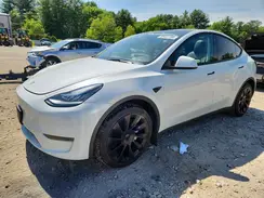 7SAYGDEE8PA076510 2023 TESLA MODEL Y