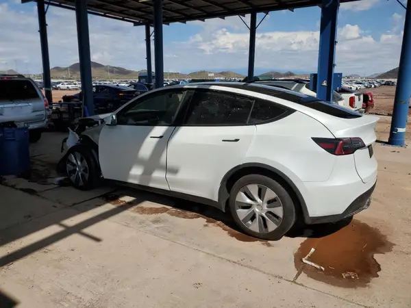 7SAYGDEE8PA116844 2023 TESLA MODEL Y - Image 2