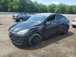 7SAYGDEE8PA125298 2023 TESLA MODEL Y