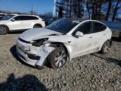 7SAYGDEE8PA173058 2023 TESLA MODEL Y