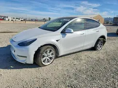 7SAYGDEE8PF713169 2023 TESLA MODEL Y