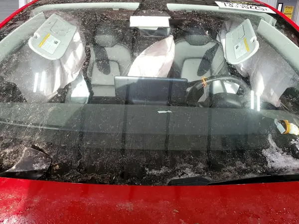 7SAYGDEE8PF785523 2023 TESLA MODEL Y - Image 8