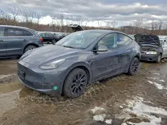 7SAYGDEE8PF862410 2023 TESLA MODEL Y