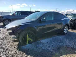 7SAYGDEE8RA234184 2024 TESLA MODEL Y