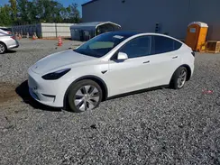 7SAYGDEE8RA239062 2024 TESLA MODEL Y