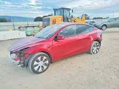 7SAYGDEE8RF031427 2024 TESLA MODEL Y