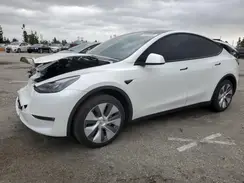 7SAYGDEE8RF088808 2024 TESLA MODEL Y
