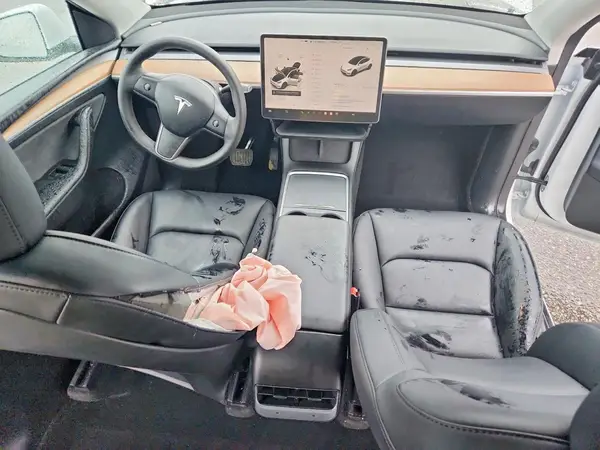 7SAYGDEE8RF165337 2024 TESLA MODEL Y - Image 8