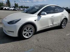 7SAYGDEE9NF437856 2022 TESLA MODEL Y