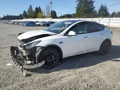 7SAYGDEE9PA082428 2023 TESLA MODEL Y