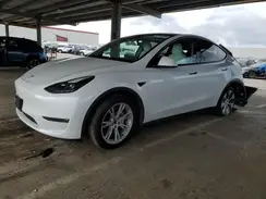 7SAYGDEE9PF622671 2023 TESLA MODEL Y