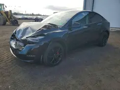 7SAYGDEE9PF706862 2023 TESLA MODEL Y