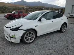 7SAYGDEE9PF710894 2023 TESLA MODEL Y