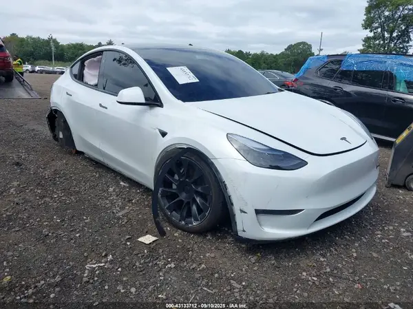 7SAYGDEE9RA221671 2024 TESLA MODEL Y - Image 1