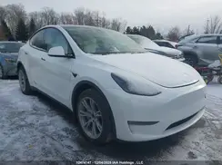 7SAYGDEE9RF063920 2024 TESLA MODEL Y