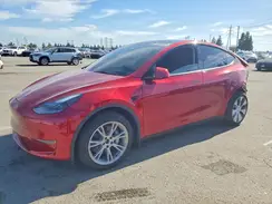 7SAYGDEE9RF081849 2024 TESLA MODEL Y