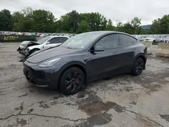 7SAYGDEE9RF156498 2024 TESLA MODEL Y