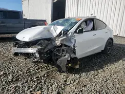 7SAYGDEE9RF179182 2024 TESLA MODEL Y