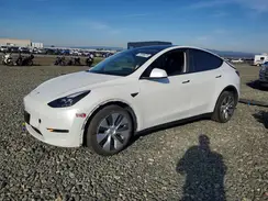 7SAYGDEE9RF983210 2024 TESLA MODEL Y