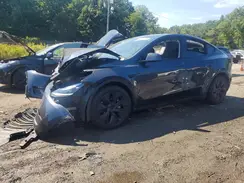 7SAYGDEE9SA354713 2025 TESLA MODEL Y