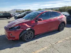 7SAYGDEE9SF291339 2025 TESLA MODEL Y