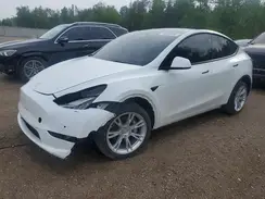 7SAYGDEEXNF310551 2022 TESLA MODEL Y