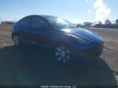 7SAYGDEEXNF403019 2022 TESLA MODEL Y