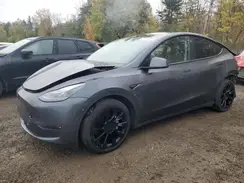 7SAYGDEEXNF549369 2022 TESLA MODEL Y