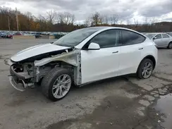 7SAYGDEEXPA117686 2023 TESLA MODEL Y