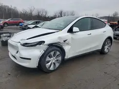 7SAYGDEEXPA122953 2023 TESLA MODEL Y
