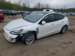 7SAYGDEEXPA149019 2023 TESLA MODEL Y