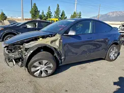 7SAYGDEEXPA156004 2023 TESLA MODEL Y