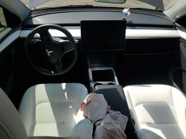 7SAYGDEEXPA162000 2023 TESLA MODEL Y - Image 8