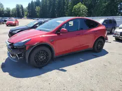 7SAYGDEEXPF647059 2023 TESLA MODEL Y