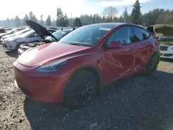 7SAYGDEEXPF692390 2023 TESLA MODEL Y