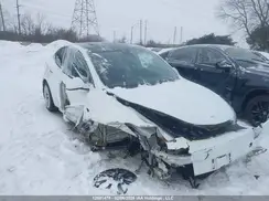 7SAYGDEEXPF774149 2023 TESLA MODEL Y