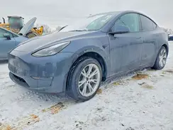 7SAYGDEEXPF841008 2023 TESLA MODEL Y