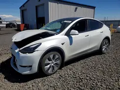 7SAYGDEEXPF842501 2023 TESLA MODEL Y