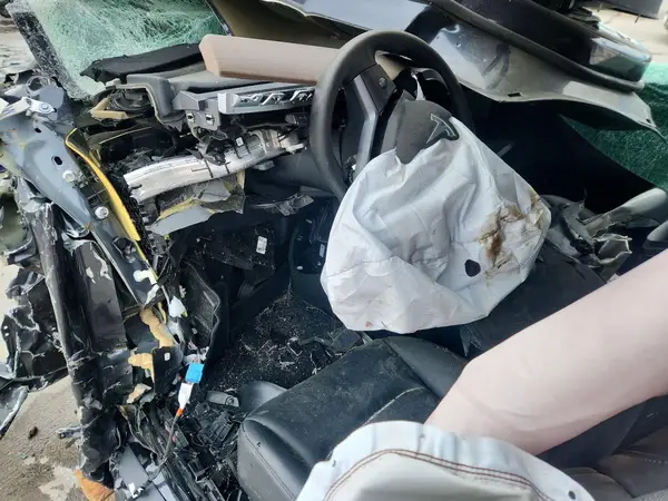 7SAYGDEEXRF117354 2024 TESLA MODEL Y - Image 8