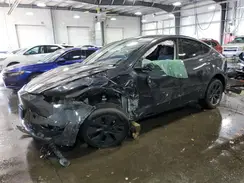 7SAYGDEEXRF155635 2024 TESLA MODEL Y