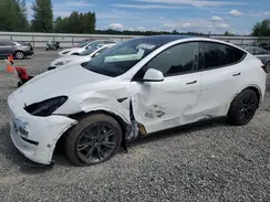7SAYGDEEXRF162231 2024 TESLA MODEL Y