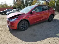 7SAYGDEEXRF198856 2024 TESLA MODEL Y