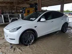 7SAYGDEEXSA346491 2025 TESLA MODEL Y