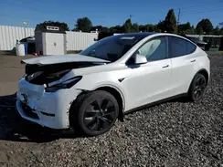 7SAYGDEEXSF259869 2025 TESLA MODEL Y