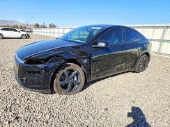7SAYGDEEXTF659741 2026 TESLA MODEL Y