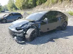 7SAYGDEF0NF443344 2022 TESLA MODEL Y