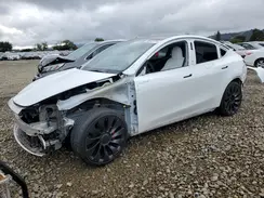 7SAYGDEF0PF863205 2023 TESLA MODEL Y
