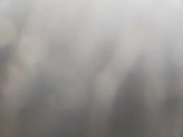 7SAYGDEF0PF958265 2023 TESLA MODEL Y - Image 8